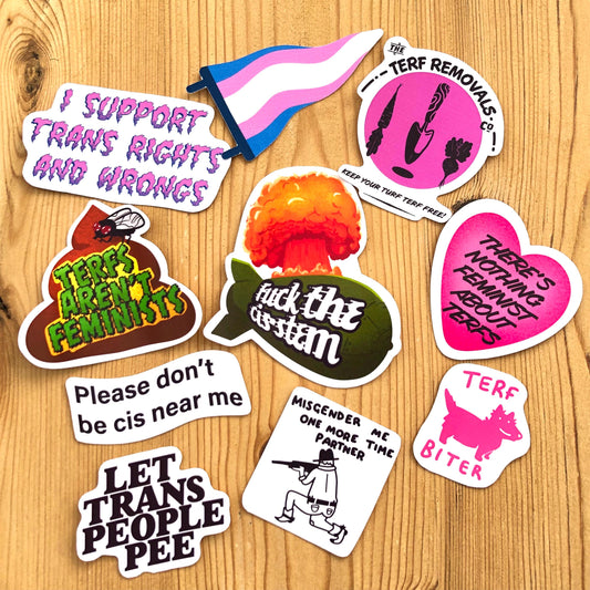 Trans Pride Sticker Bundle, Funny Queer Stickers