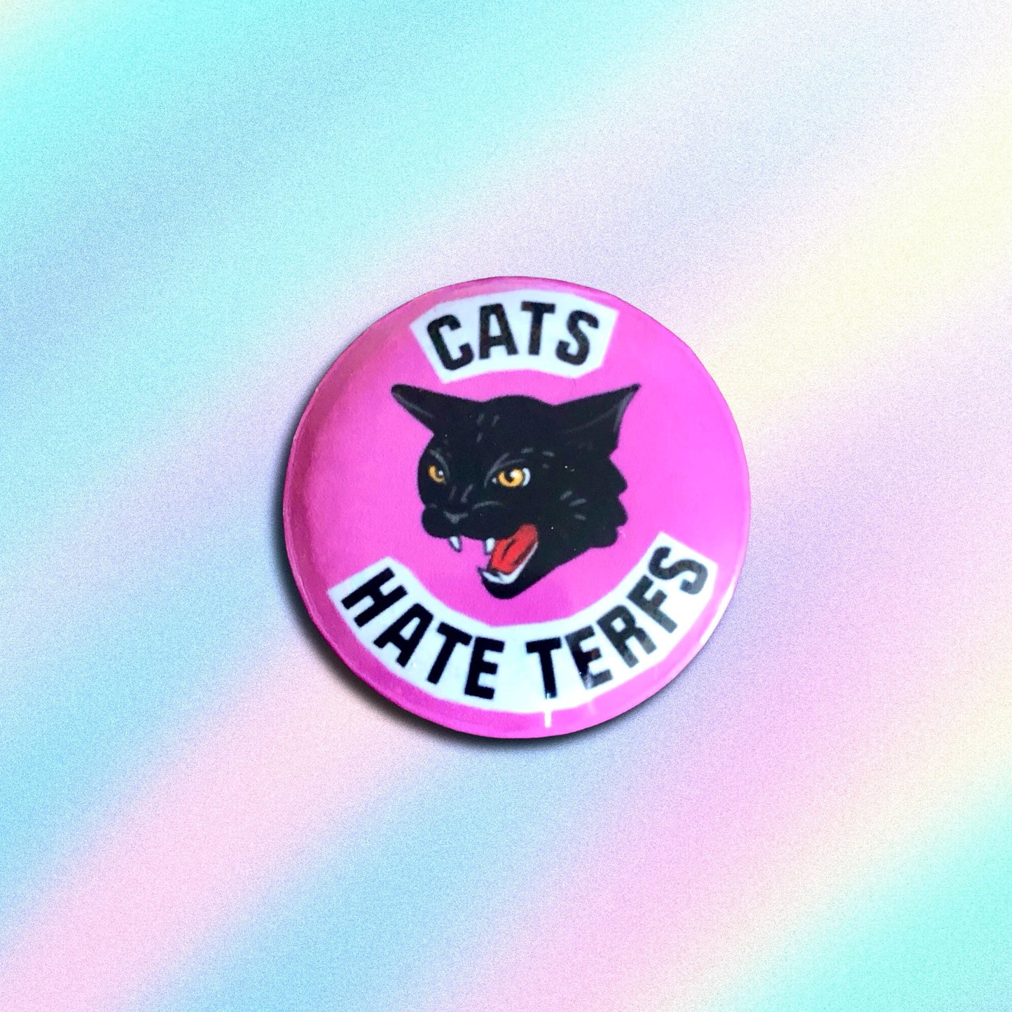 LUCKY DIP! Queer & Antifascist Pride Pins